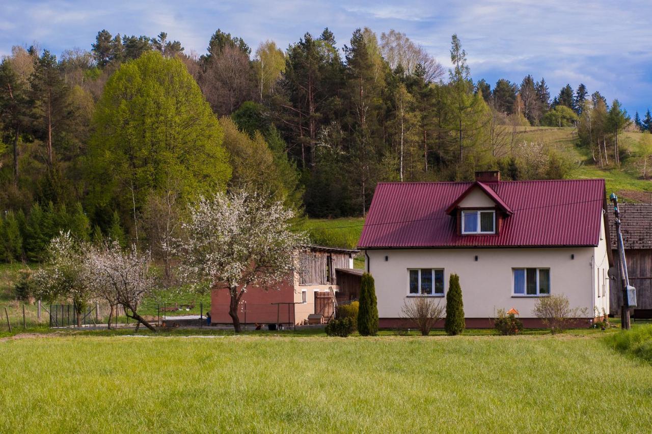 U Jadzi Pogorze Przemyskie Bircza Exterior foto